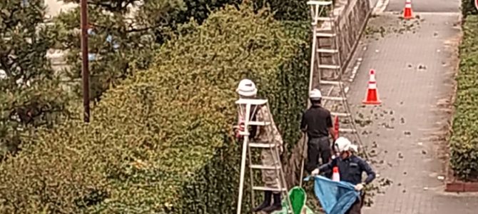 11/17（木）マラソン効果