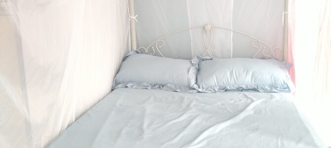 2/10～11：サロンご利用