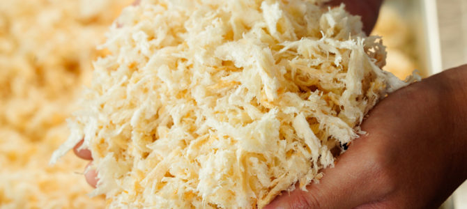 3/16(水)春休み期間中の営業 3/16(水)春休み期間中の営業